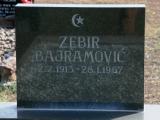 image of grave number 716251
